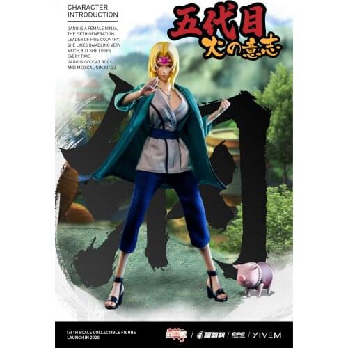 MOZ STUDIO MSAF001 1/6 Scale Female Ninja Action Figure