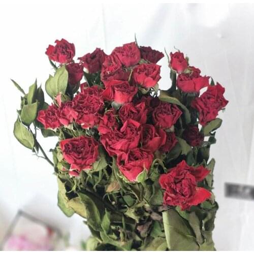 Natural Dried Flower Immortal Multi-headed Roses 20 or 40 Heads/Lot, Colorful Roses For Wedding Bouquet Home Room Party