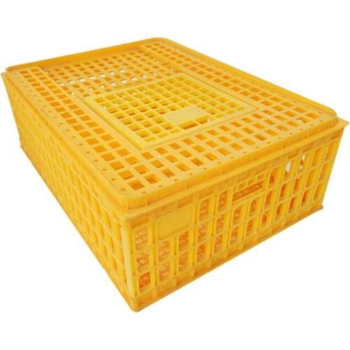 Chicken Cage Plastic Home Poultry Turnover Box Transportation Into