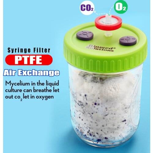 500ml mushroom jar wide mouth