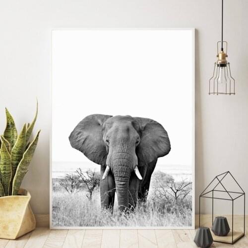 Elephant Black White Photo Poster Modern Animals Photography Wall Art Canvas Print Elephant Picture Bedroom Living Room Decor