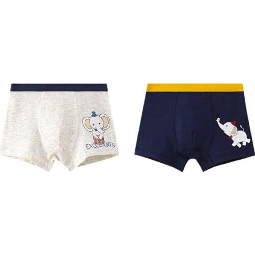 2Pcs Cartoon Cotton Boys Underwear Patchwork Boxers Boy Underpants Boys Clothes for 3 4 6 8 10 12 14 Years Old RKU173009