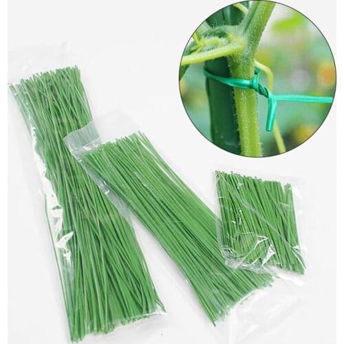 100pcs Tie Line Plastic Green Vine Garden Tie Line Vine Climbing Plant Tie Belt Bonsai Flower Cucumber Grape Bracket