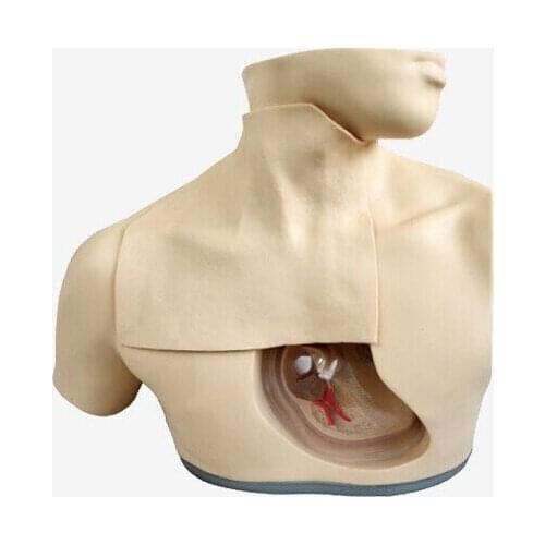 BIX-H72 Senior Parenteral Nutrition Care Model Medical Aids WBW383