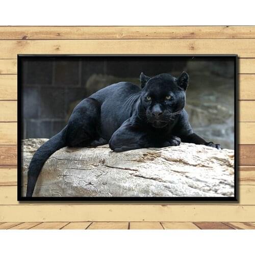 Jaguar Strong And Fast Land Animal (31) Wall Posters Prints Silk Art Painting For Home Wall Bedroom Decor