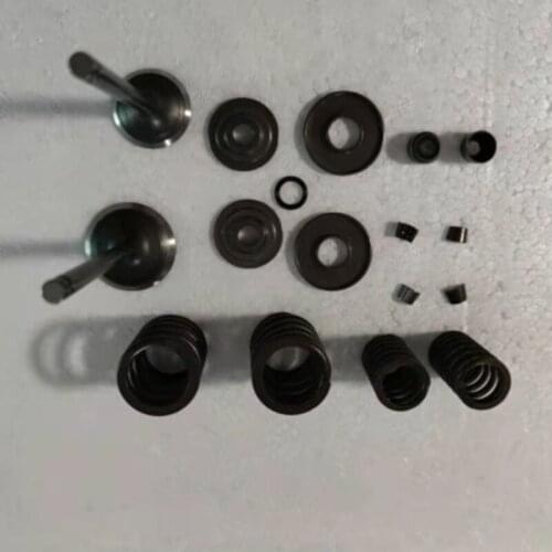 Motorcycle Engine Parts Valve Stem & Oil Seal & Spring & Valves Set For JIANSHE 250 ATV JS250 JIANSHE250 ATV250