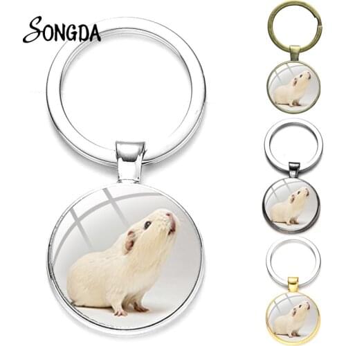 Cute Guinea Pig Keychain Art Photo Glass Crystal Cabochon Pendant Key Ring Car Key Chain Fashion Animal Jewelry Gift For Women