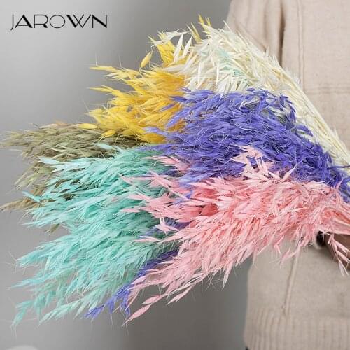 JAROWN Nature Dried Flower Oat Spike Branch DIY Wedding Home Room Valentines Day Gift Decoration
