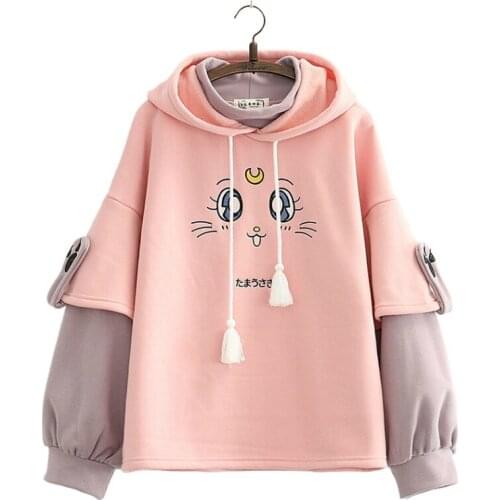 Cartoon Cat Embroidery Fleece Hooded Sweatshirts 2020 Winter Women Harakuju Cute Hoodies Long Sleeve Kawaii Pullover Tracksuits