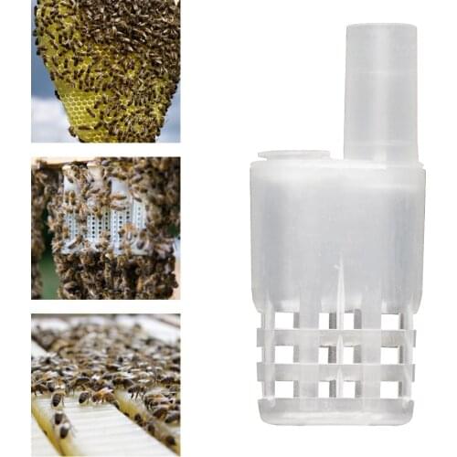 Bee Queen Cages Protective Plastic White Move Bees Beekeeping Product For Beekeeper Suppiler Goods Tools For Beekeeper Supplies