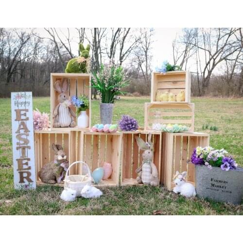 Easter Photography Backdrop Spring Bunny Eggs Decorations Photo Background Birthday Cake Smash Photobooth Studio Child Baby