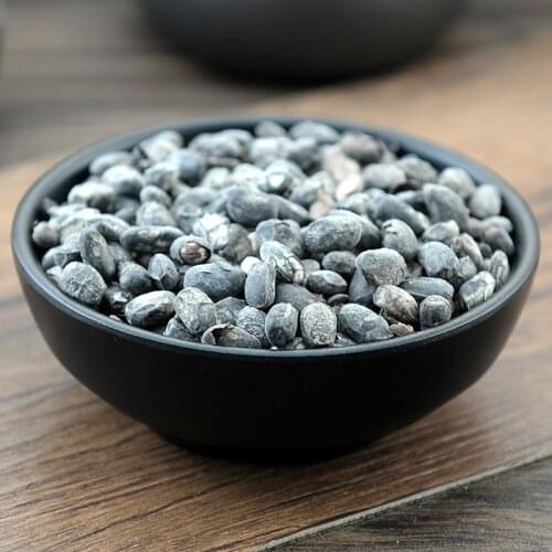 Fermented Soybean Semen Sojae Preparatum DanDouChi