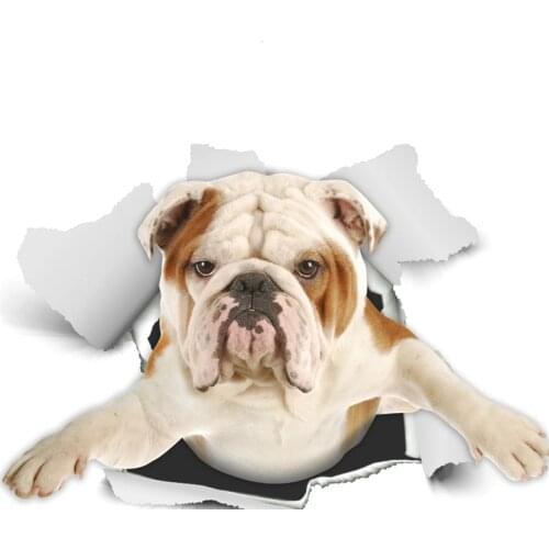 A0517# 13cm/17cm Removable Decal English Bulldog Car Sticker Waterproof Accessories on Bumper Rear Window Laptop