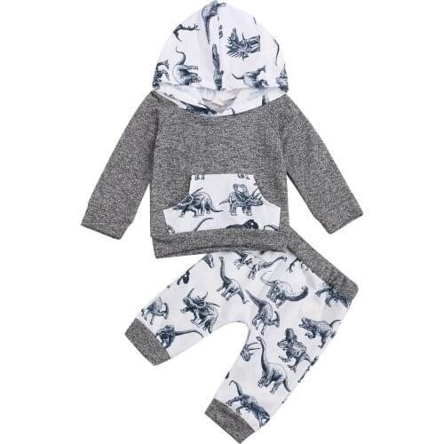 New 2Pcs Autumn Little Boys Outfit, Toddlers Cartoon Dinosaur Printing Long Sleeve Hooded Tops + Long Pants Set