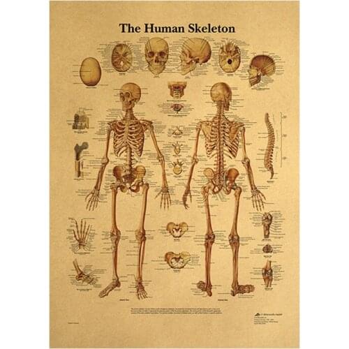 The Body Structure Skeleton Nervous System Vintage Poster Decoracion Painting Wall Art Paper Posters Wall Stickers