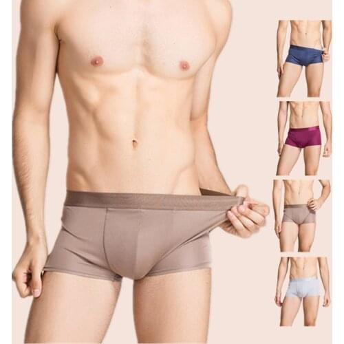 Birdsky Men's Briefs