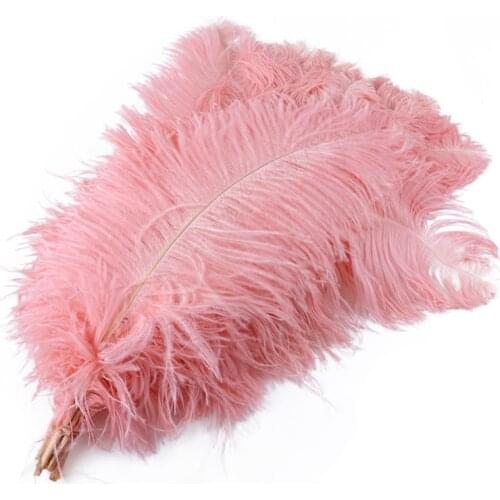 Wholesale Hard Rod 10Pcs Dyed Natural Ostrich Feathers for Crafts 22-24 inch Carnival Costumes Wedding Accessories Decoration