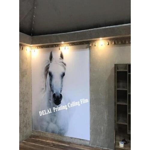 Vivid Horse Running Printing Ceiling Film white background Stretch Ceiling Film with fluorescent backlit