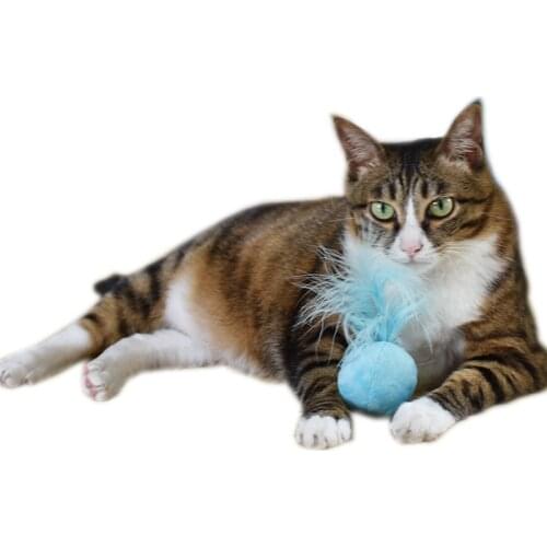 3Pcs Cat Interactive Toy Catnip Bell Ball Plus Feather Ball Interactive Pet Toy Scratch Natural Catnip Ball Training Pet Supply