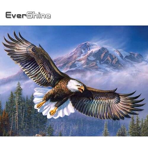 Evershine Diamond Painting Animal Full Square Drill Diamond Embroidery Eagle Cross Stitch Kit Diamond Mosaic Wall Decoration Art