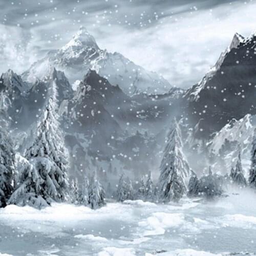 Snow Winter Photographic Background Grey Gray Mountain Cloudy Cold Scenic Photo Studio Photography Backdrops 150cm*200cm