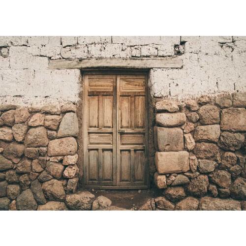 Irregular Stone Wall Wooden Door Photo Backgroud Vinyl Cloth Backdrops for Children Baby Portrait Photoshoot Photography Props