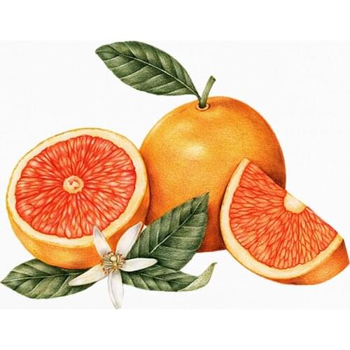 5D DIY Poured Glue Diamond Painting Kits Scalloped Edge Ripe Fruit and Flowers Wall Art Home Decoration Unique Gift