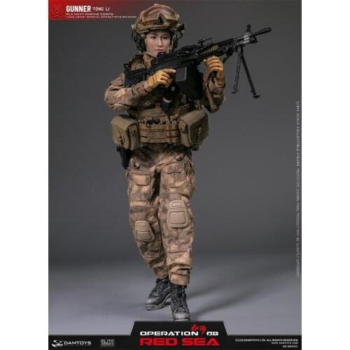 In Stock For Sale 1/6th DAMTOYS DAM DMS015 Machine Gunner M249 Weapon Full Set Suit For Mostly 12inch Doll Action Collectable