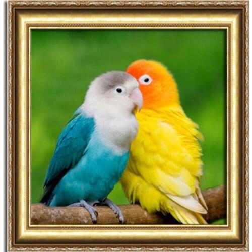 Diy Diamond Painting Two Parrot Diamond Mosaic Cross Stitch Crystal Square Drill Sets Unfinished Decorative Diamond Embroidery