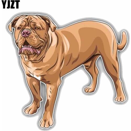 YJZT 15CMx14.3CM French Mastiff Breed Dog Car Bumper Decoration Car Sticker C1-9062