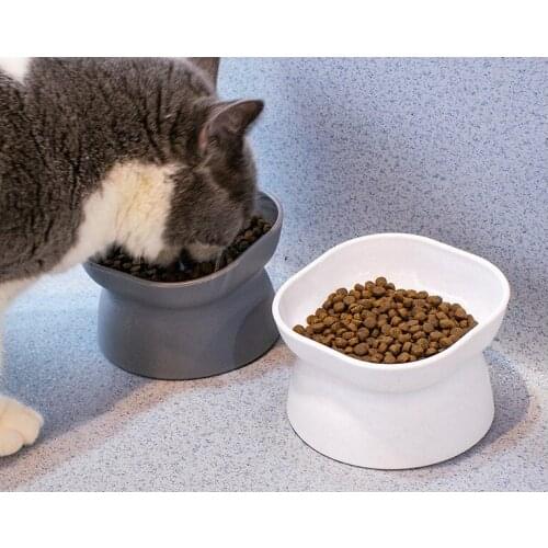 Elevated Cat Bowl Pet Drinking Fountain Dog Double-sided Available Food Training Bowl Cat Accessories Protect The Cervical Spine