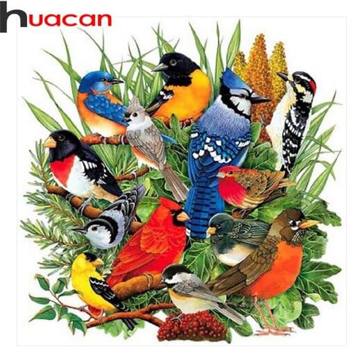 Huacan Full Diamond Painting Full Drill Square/Round Bird Diamond Mosaic Embroidery Animals Home Decoration