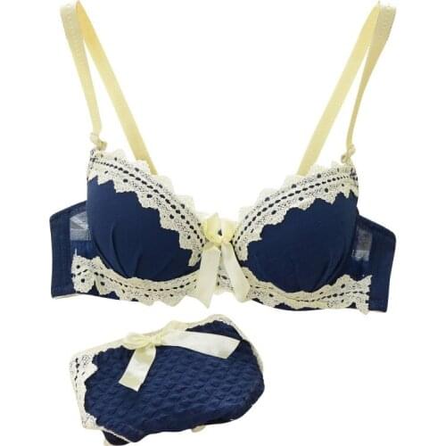 Seamless Lace Push up Bra Brief Sets Sexy Bra Panty Underwear Women Brassiere Comfortable Bra Lingerie Set