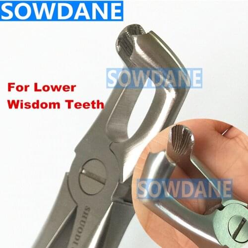 1 piece Dental Lower Mandibular Molars Wisdom teeth extraction forcep Saw tooth for Adult Dental Surgical Tools Tooth extraction