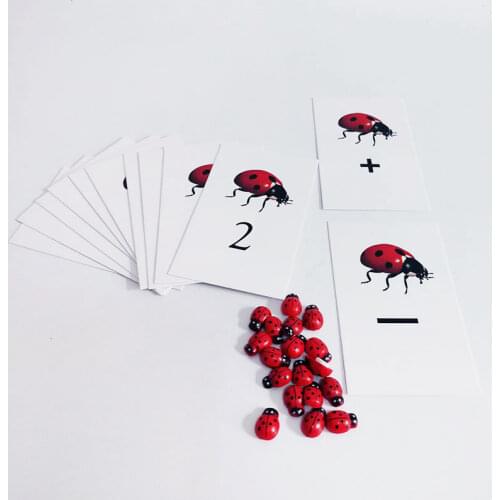 Montessori Math Material Montessori Ladybug Number Activity Cards Set Educational Learning Toys for Toddlers MJ1044H