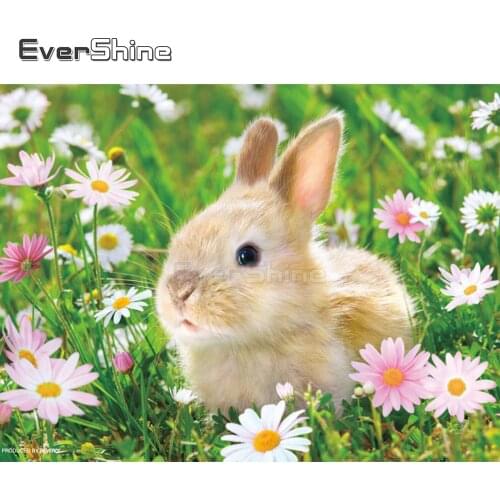 EverShine 5D Diamond Painting Full Drill Square Rabbit Rhinestones Art Diamond Embroidery Animals Cross Stitch Handwork Gift