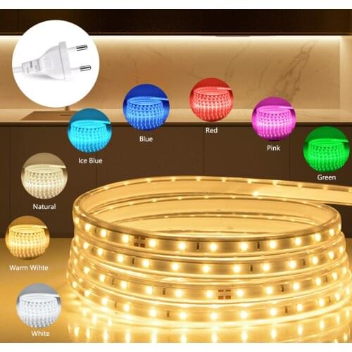 Neon Lights Sign LED Strip With 220V EU Plug Garland Lamp DIY Garden Decor Ceiling Backlight 15M 20M Flexible Diode Light