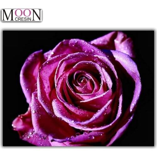 5D Diy Diamond Mosaic Fuchsia Rose Diamond Painting Full Square Round Drill Diamond Embroidery Cross Stitch Rhinestones Flowers