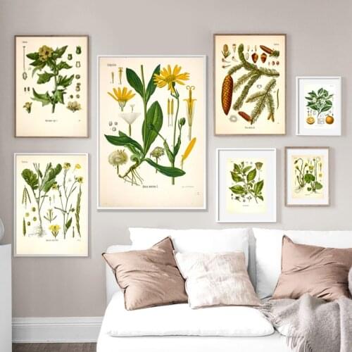 Vintage Botanical Medicinal Posters and Prints Antique Plants Botany Wall Art Picture Living Room Decor Kraft paper poster