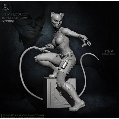 75mm Resin model kits figures toy self-assembled TD-2461