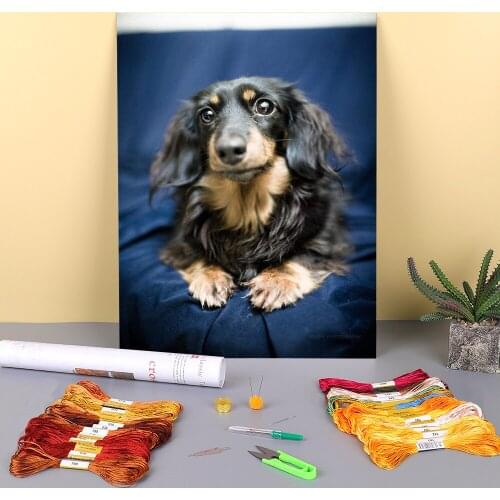 Animal Dog Dachshund Printed Canvas 11CT Cross Stitch Kit Embroidery DMC Threads Knitting Hobby Painting Handiwork Decor