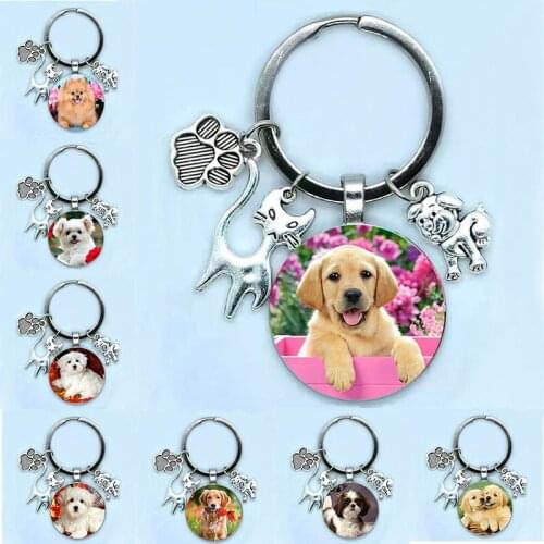 Fashionable Cute Animal Keychain Cat And Dog I Love Glass Pendant Mini Heart Key Ring Car Key Men And Girls Favorite Gift Souven
