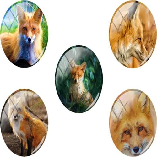 TAFREE Clever Fox Photos Print Art Crafts Glass Cabochons Oval 18x25mm Accessories Trendy Jewelry Charms Flat Back HL35