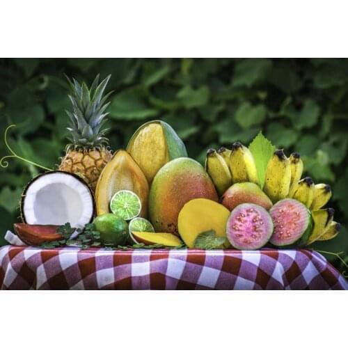 Limited Time Various Fruit Canvas Paintings Tropical Food Photo Room Home Wall Modern Art Decor Frameless Poster