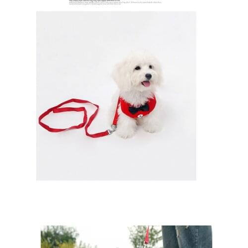 Breathable Mesh Solid Color Nylon Dog Accessories Cute Cat Basic Leashes Pet Vest Harnesses Collar Sets For Perros Accesorios