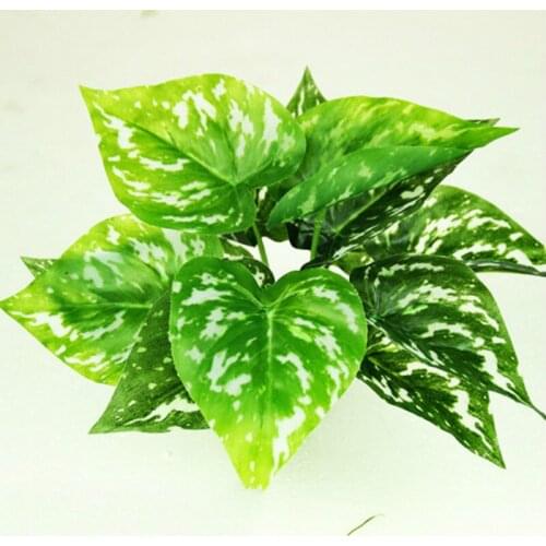 Simulation Spider plant Simulation plant wall with wood Simulation of Persia leaf Fern leaf Lysimachia Plants