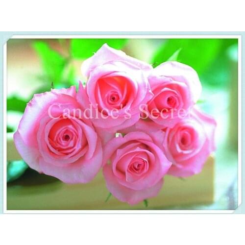 New Rhinestone Painting Crystal Home Decor Diy Diamond Painting Rose 3d Cross Stitch Pattern Diamond Embroidery