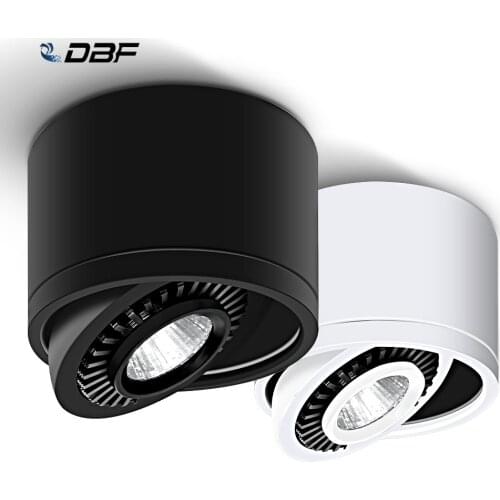 DBF Spotlights
