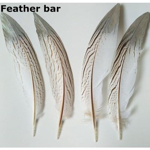 Feather Bar 200pcs white pheasant silver feathers with Silver Tipps fashion jewelry accessorys DIY feather backpieces crafts
