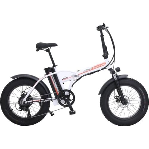 High Quality 20" Electric Bicycle, 48V 15Ah Large Capacity Battery, 7 Speed Fat Bike Snow Bike, 5 Level Power Assist